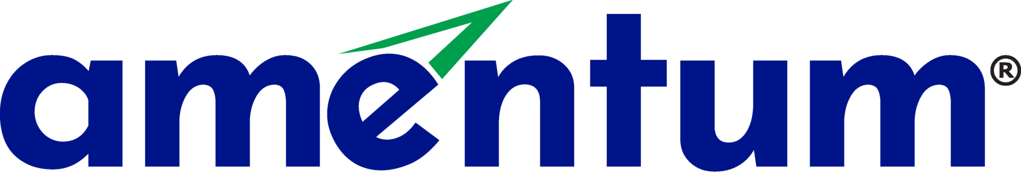 Amentum logo R no tagline color