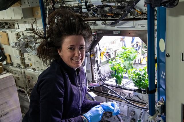 Megan McArthur  NASA