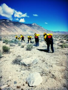 Hawthorne Army Depot wildfire training